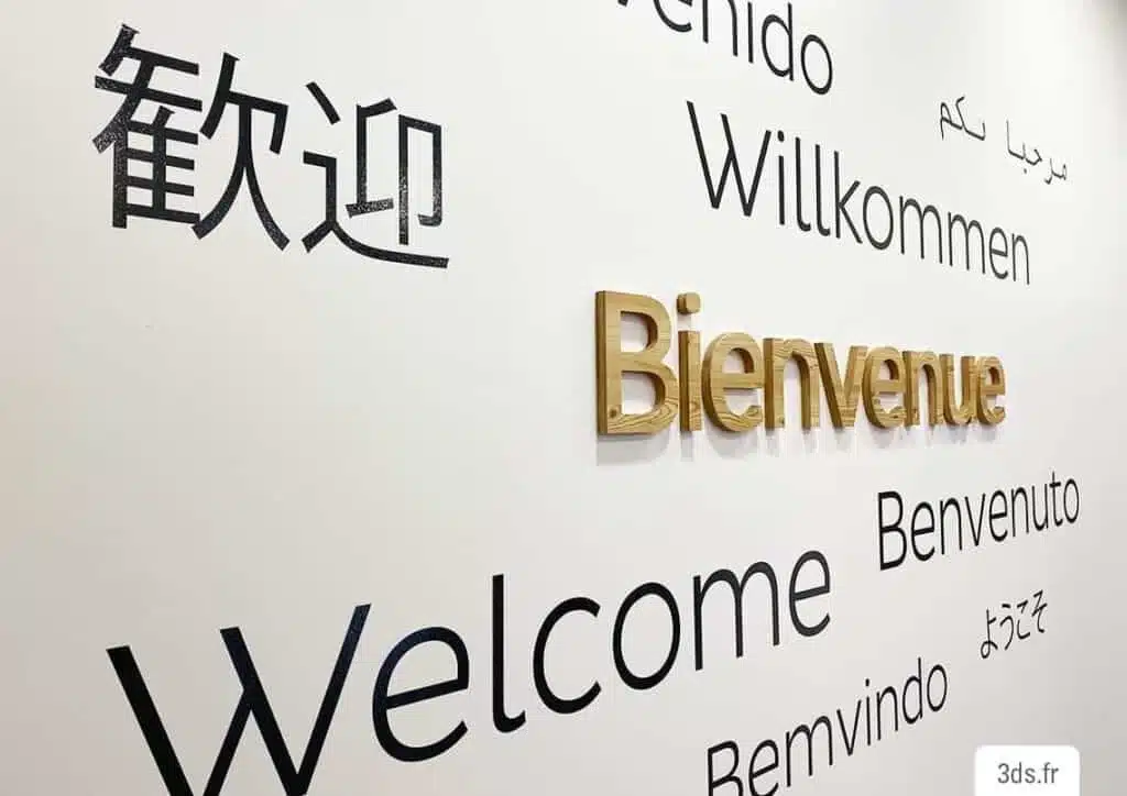 3ds groupe dpd signaletique bienvenue 2 1024x724