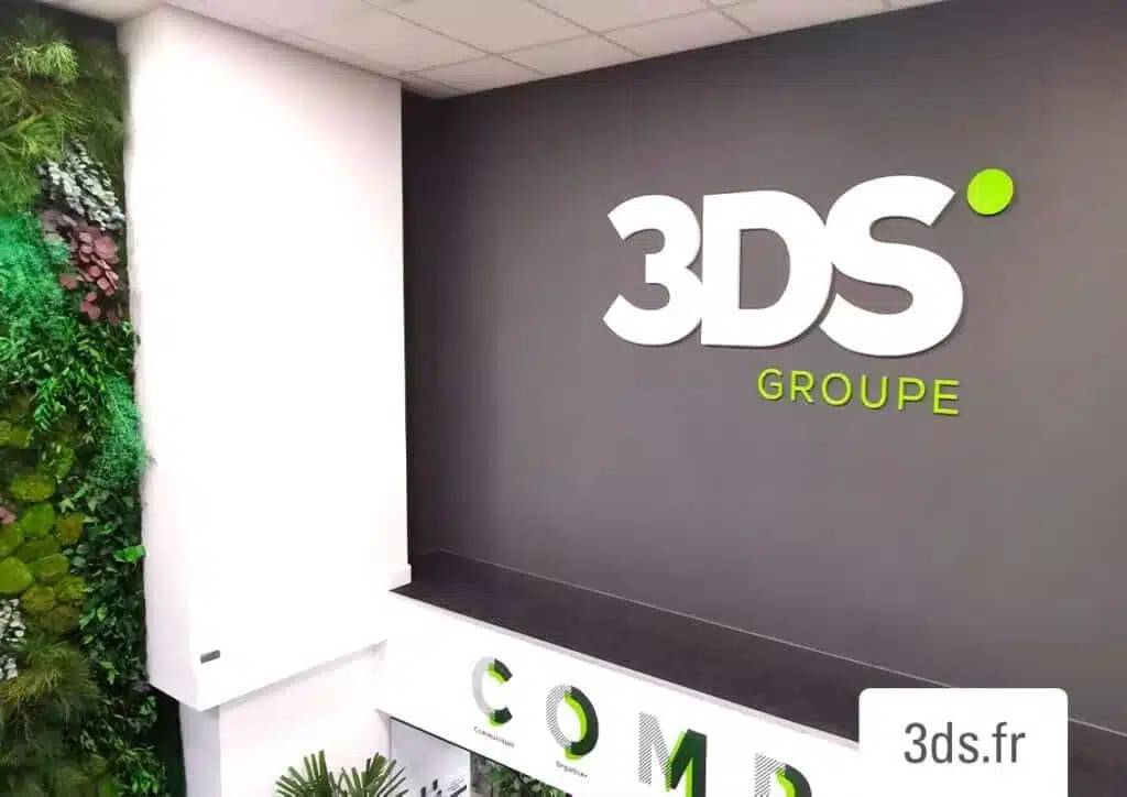 Showroom 3DS Groupe 1024x724