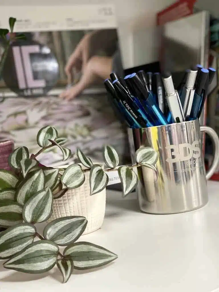 3ds groupe mug collector édition 2017