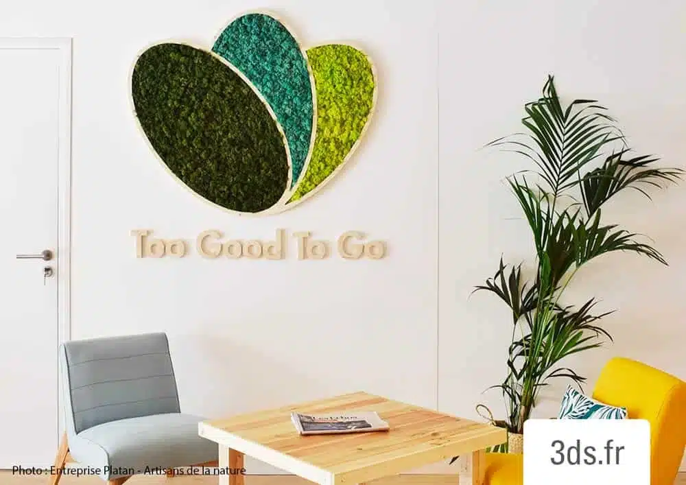 logo vegetal Too Good to Go 3DS Groupe (1)