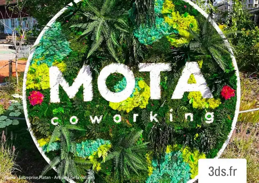 logo vegtal Mota 3DS Groupe (1)