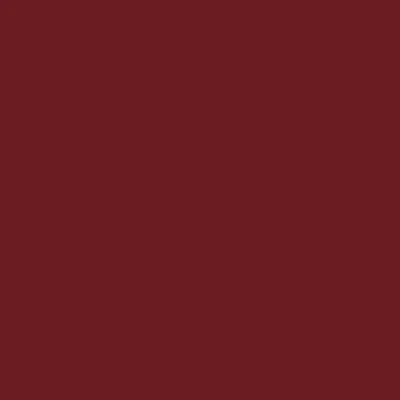 peinture ral 3004